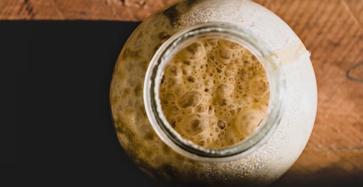 B.C. Researchers Turn to Wild Yeast to Help Struggling Craft Breweries