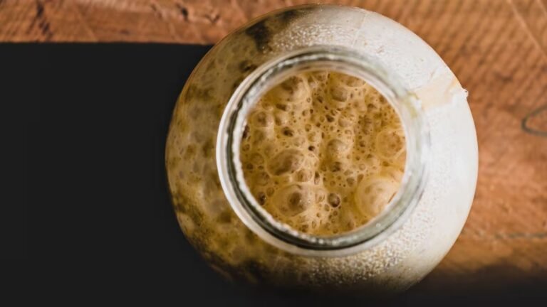 B.C. Researchers Turn to Wild Yeast to Help Struggling Craft Breweries