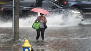 How Much Rain Fell Across Ontario Last Night? Here Are the Totals Recorded in Several Communities