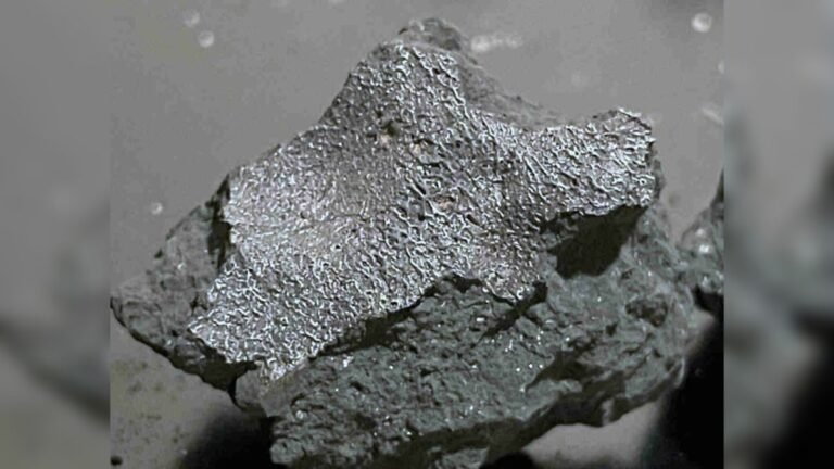 Meteorite That Crashed Through New Jersey House May Hold Clues to Life’s Origins
