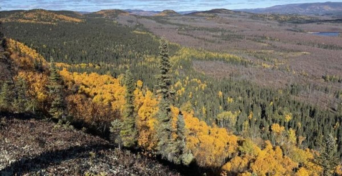 Pit Discovered by Quebecer Confirmed as 390-Million-Year-Old Meteorite Impact Crater