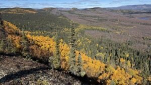 Pit Discovered by Quebecer Confirmed as 390-Million-Year-Old Meteorite Impact Crater