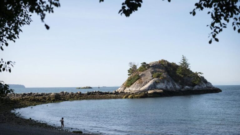 Man in His 60s Dies in Scuba Diving Incident Off West Vancouver, B.C.: Police