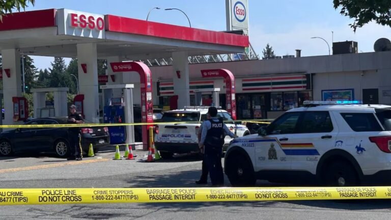 Witnesses Say North Vancouver RCMP Shot Suspect at Westview Plaza