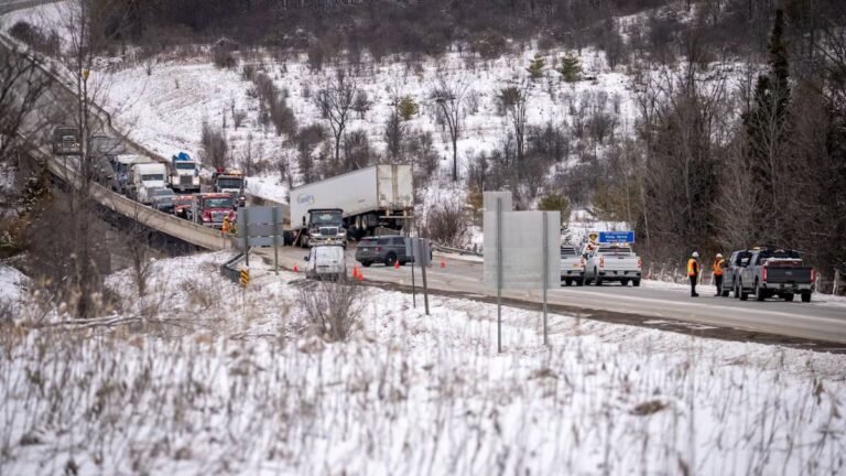 Woman Starts Petition to Improve Highway 17 Following Her Mother’s Death
