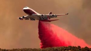 ‘Like Two 747 Jets’: B.C. Business Owner Escapes Fast-Moving Wildfire