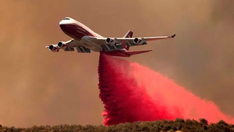 ‘Like Two 747 Jets’: B.C. Business Owner Escapes Fast-Moving Wildfire