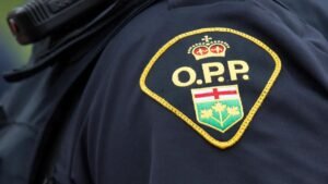 18-Year-Old Toronto Resident Killed in Central Ontario Shooting, Police Say
