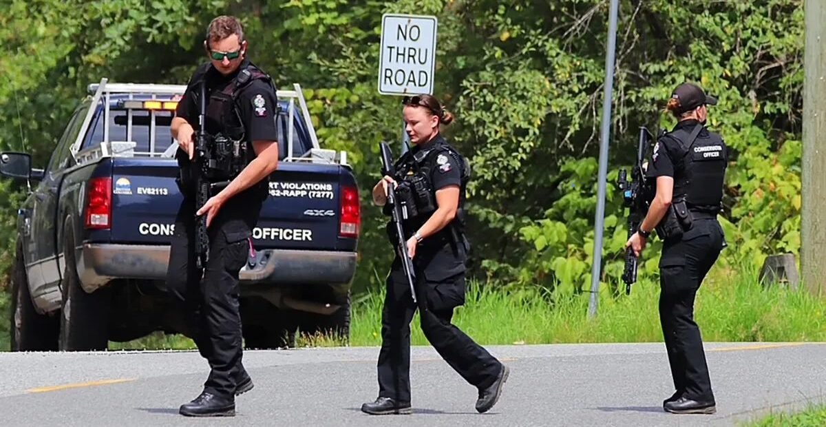 3-Year-Old Girl Hospitalized Following Bear Attack in Maple Ridge, B.C.