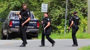 3-Year-Old Girl Hospitalized Following Bear Attack in Maple Ridge, B.C.
