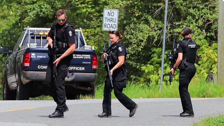 3-Year-Old Girl Hospitalized Following Bear Attack in Maple Ridge, B.C.