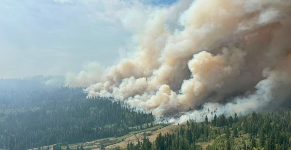 Lakeside Homes Destroyed and Evacuations Expanded as B.C. Wildfires Intensify