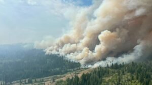 Lakeside Homes Destroyed and Evacuations Expanded as B.C. Wildfires Intensify