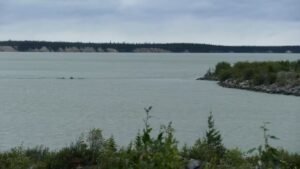 Missing Alberta Man Believed to Have Drowned While Fishing in Northern Manitoba, RCMP Say