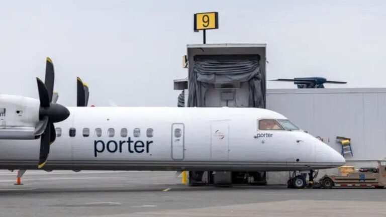 Porter Airlines Cancels Toronto Flight After Child Stands on Seat